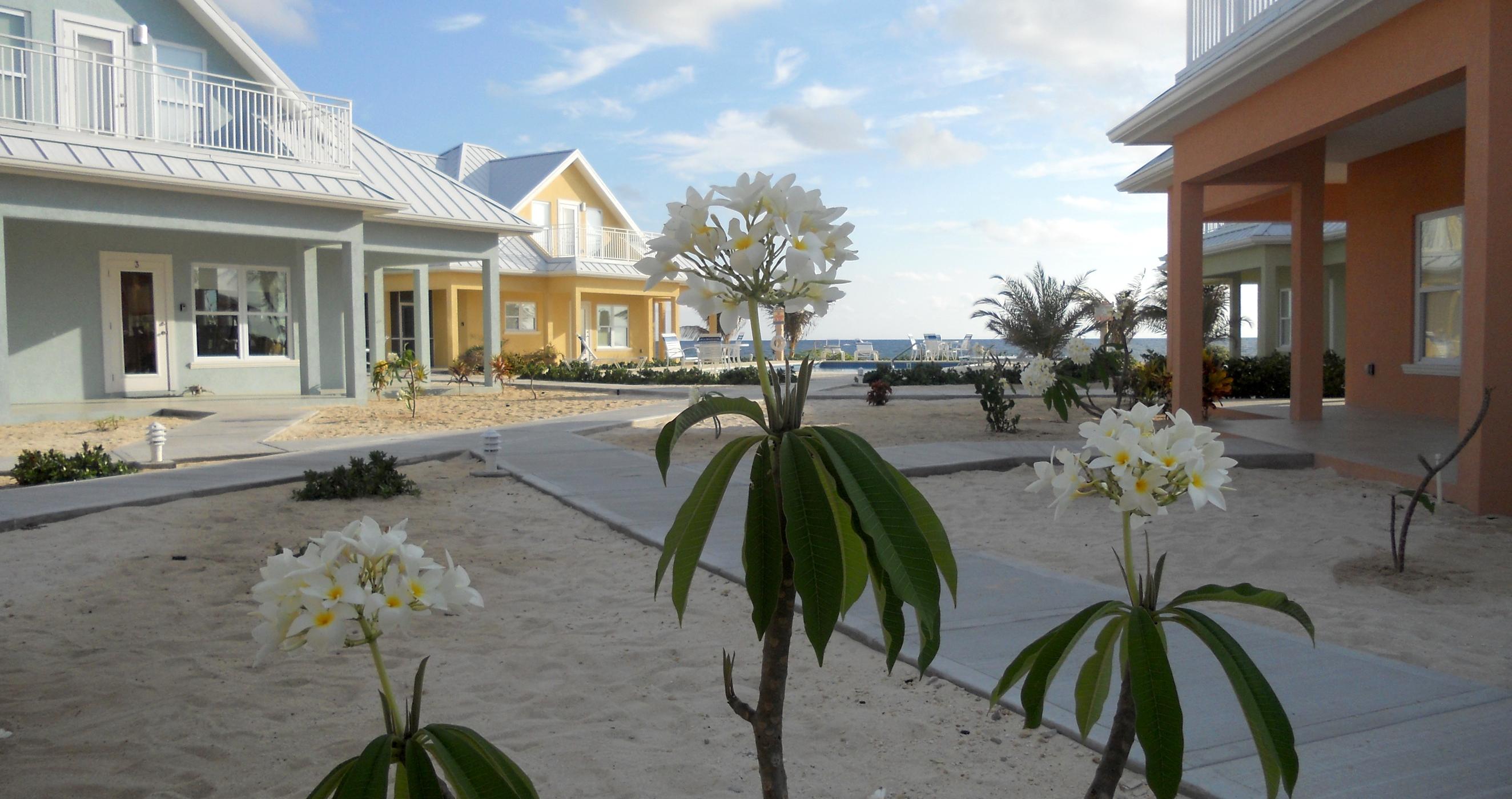 Ocean Paradise villas Cayman Islands