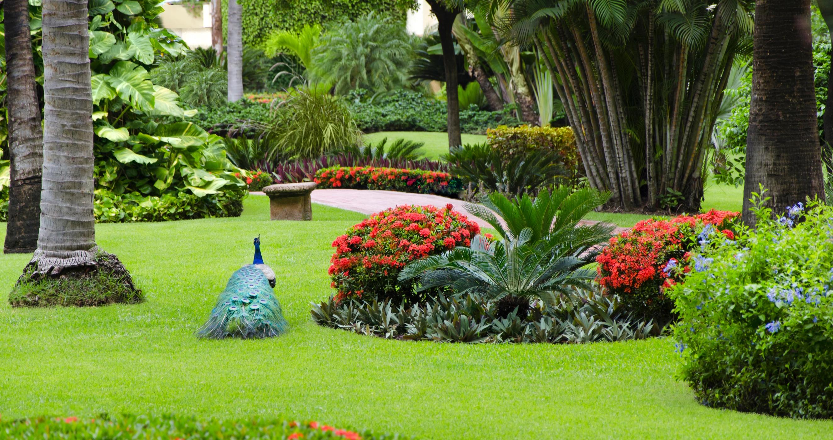 Velas Vallarta, Mexico